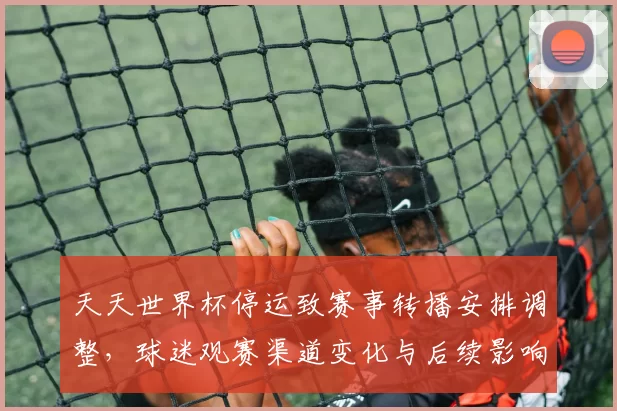 天天世界杯停运致赛事转播安排调整,球迷观赛渠道变化与后续影响