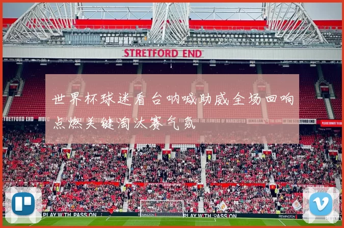 世界杯球迷看台呐喊助威全场回响点燃关键淘汰赛气氛