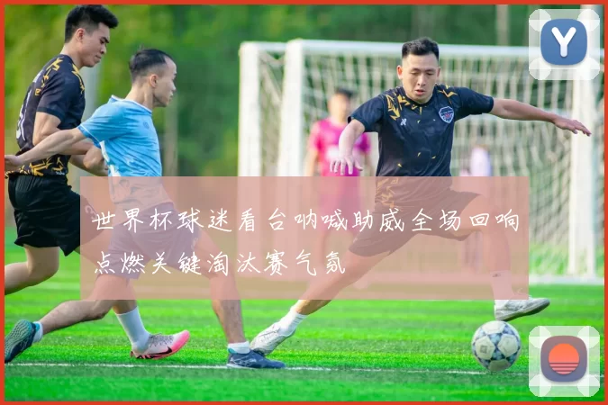 世界杯球迷看台呐喊助威全场回响点燃关键淘汰赛气氛