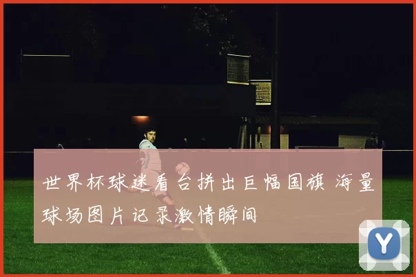 世界杯球迷看台拼出巨幅国旗 海量球场图片记录激情瞬间