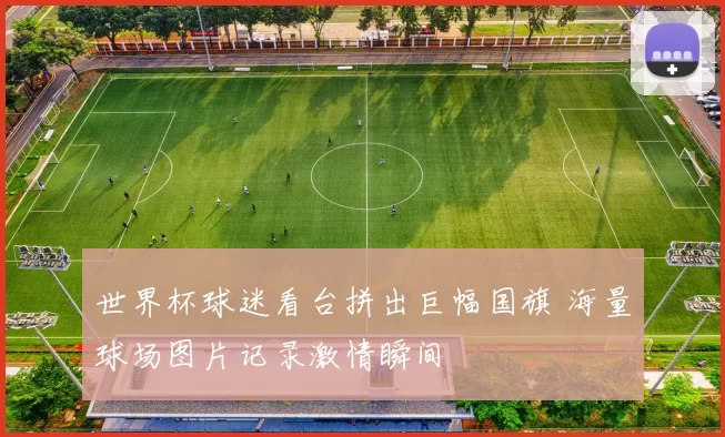 世界杯球迷看台拼出巨幅国旗 海量球场图片记录激情瞬间